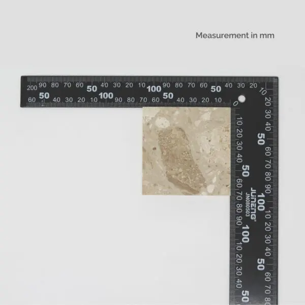 CG007 - Image 2