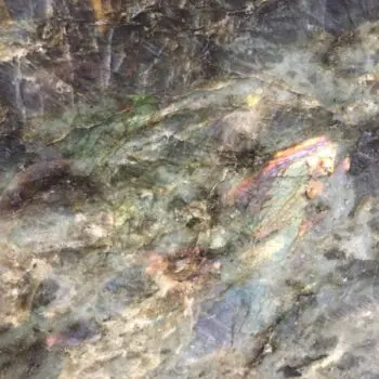 Close-up of a polished Labradorite Semi-Precious Stone slab featuring iridescent blue, green, and orange flashes within a grey and brown matrix.
