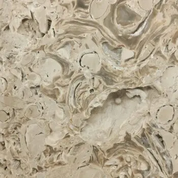 Patch Reef Portland Limestone