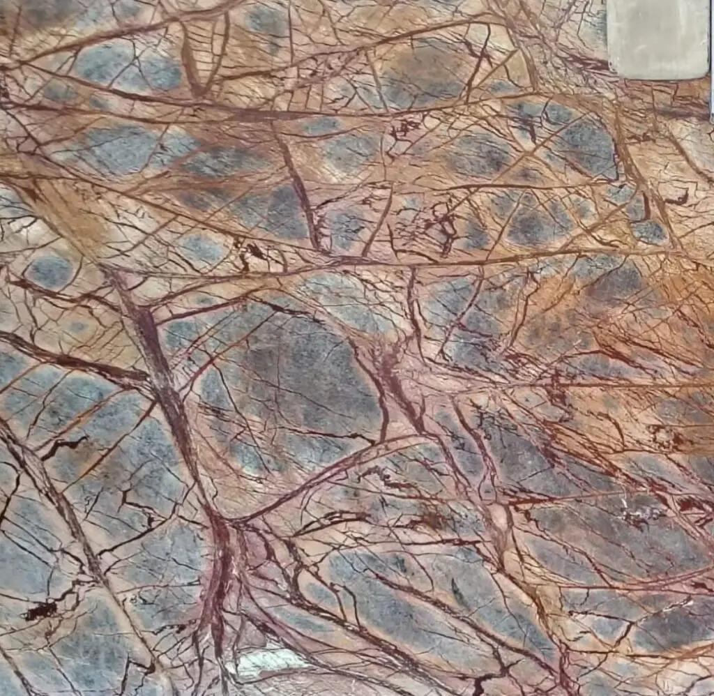 MA118 Rainforest-Brown
