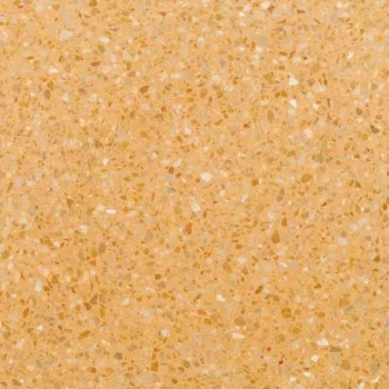 TE041
