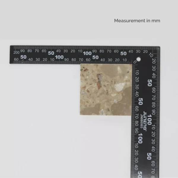 CG001 - Image 2