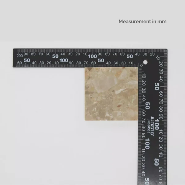 CG002 - Image 2