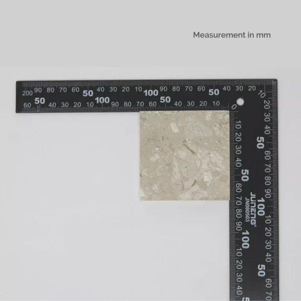 CG004 - Image 2