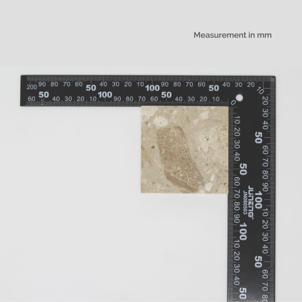 CG007 - Image 2
