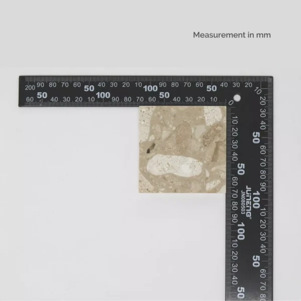 CG008 - Image 2