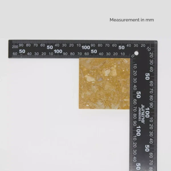 CG013 - Image 2