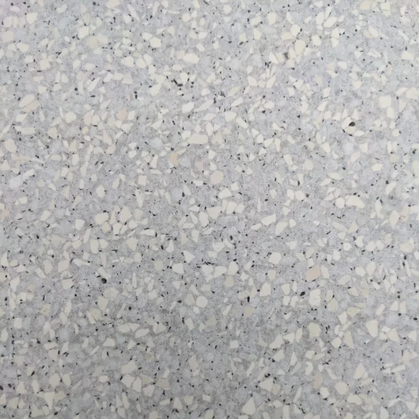 TE038