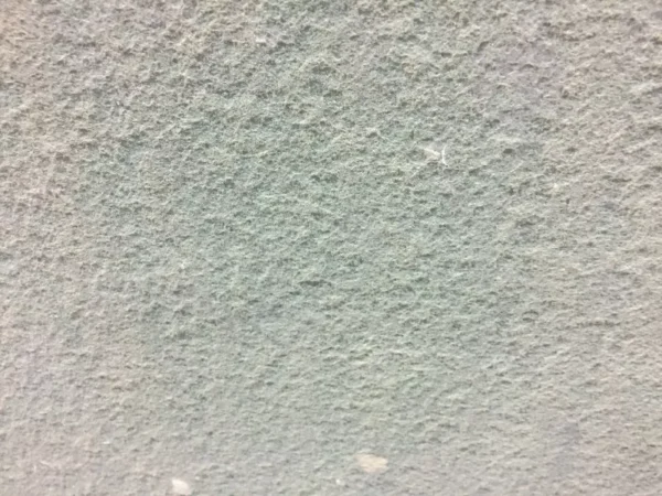 Verde Ardesia Limestone - Image 3