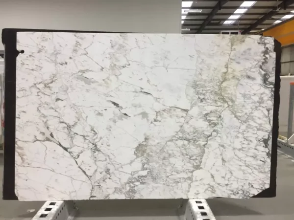 MA183 - Breccia Capraia - Image 2
