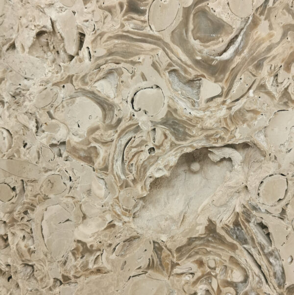 Patch Reef Portland Limestone