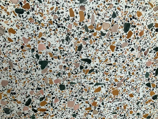 TE113 - Image 5